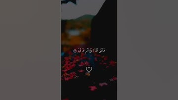 {فدعا ربه أني مغلوب فانتصر } سورة القمر🍂🍁