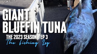 Giant Bluefin Tuna West Coast Mission | S2 Ep120 - The Fishing Log #bluefin #tuna #adventure