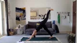 One Hour Slow Flow -Heart Opening Practice, allowing the BREATH to be the Guru (Level 1&2)