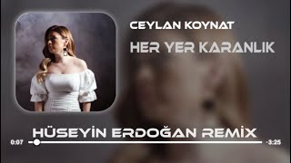 Ceylan Koynat - Her Yer Karanlık ( Hüseyin Erdoğan Remix ) Resimi