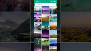 Simple & beautiful image search application in Flutter screenshot 2