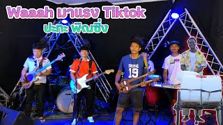 Video thumbnail of "Waaah Aaaah  Steve Mweusi ปะทะ พิณซิ่ง มาแรง Tiktok"