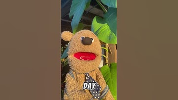 Day:45!of me shouting out MrBeast until I get 10k Subscribers  #comment #puppet #fup #mrbeast #10k