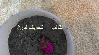 تجربه أنواع الأحافير النموذج والقالب بالشمع