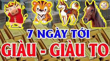 4 Con Giáp Vàng Trong Làng May Mắn, 7 Ngày Tới Trúng Số Độc Đắc, Giàu Ú Ụ