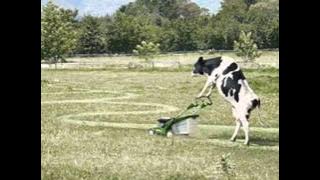 Dj FaRRu Shaggy Feat. Pitbull - Fired Up (Fuck The Recession)