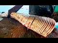 Perfect Seer Fish Slicing | Fastest King Fish Slicing