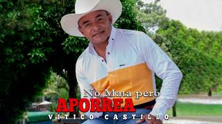 02 Vitico Castillo - No Mata Pero Aporrea - No Me Corra Cantinero (Audio Cover)