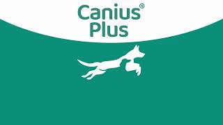 Canius® Plus - Mælkesyrebakterier Til Hunde For En Sundere Tarmflora