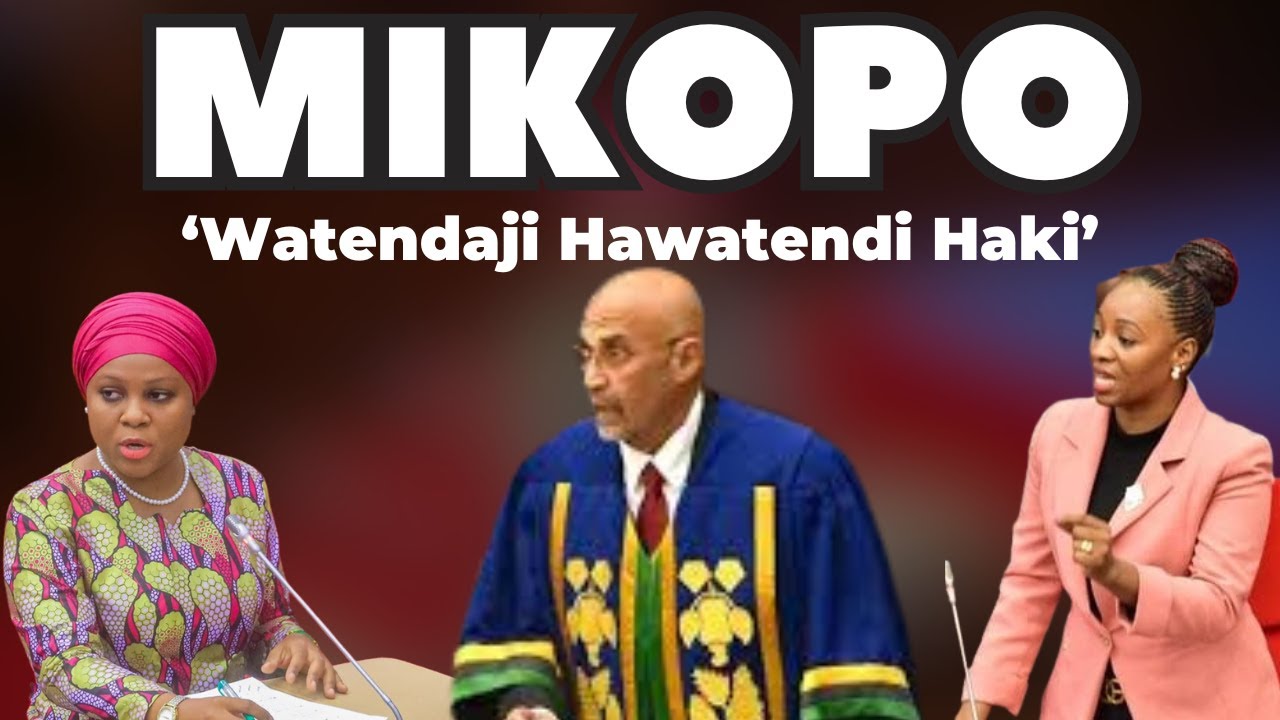 Wabunge Wachachamaa Mikopo ya Vikundi, Wataka Itolewe Kwa Mtu Mmoja Mmoja: 'Watendaji Hawatendi Haki