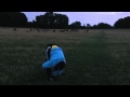 Training - Richmond Park (London, UK)