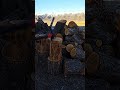 Perfect Split *Slo-Mo #Splittingfirewood #solwmotion #Firewood #Splittingwood #colorado #frozen