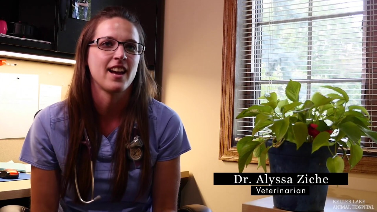 to Keller Lake Animal Hospital YouTube