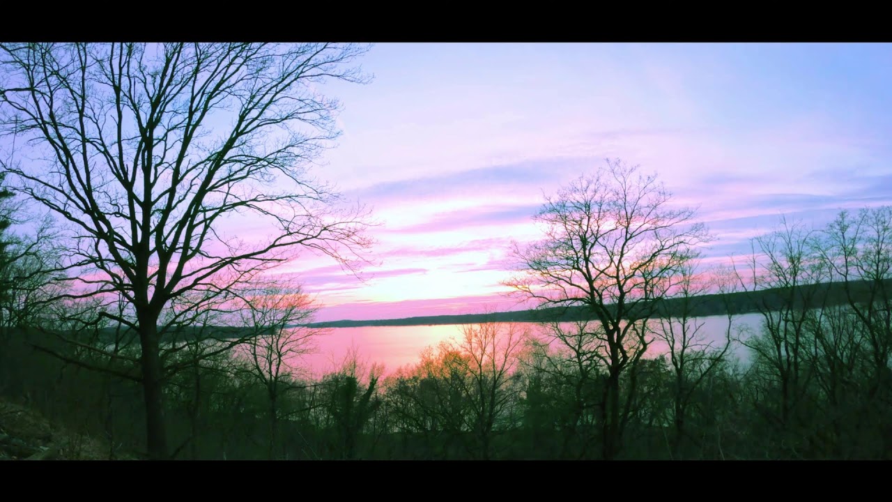 24/7 Lake Birds Ambience • Deep Focus, Calm Nature Soundscape