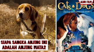 Perseturu4n Anjing & Kucing Dengan Menggunakan Teknologi Canggih | Alur Film C4ts & D0gs (2001)