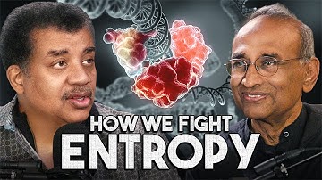 Can Life Beat Entropy?