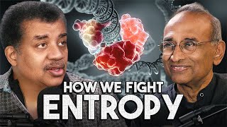 Can Life Beat Entropy?