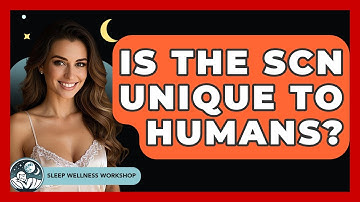 Is The SCN Unique To Humans? - Sleep Wellness Workshop