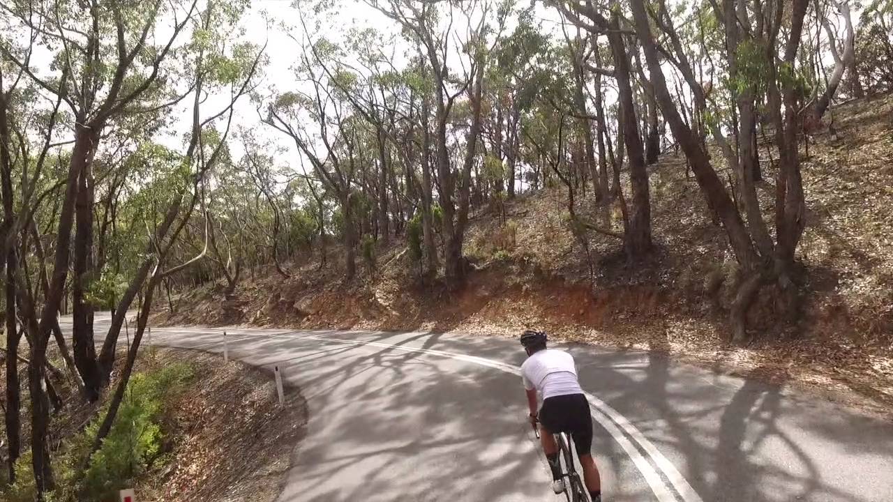 Cycling Adelaide Hills