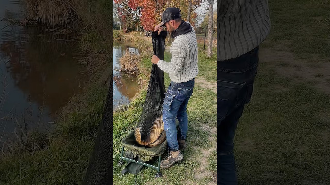 🎣 Nie jadę nad wodę tylko po rybę… ❤️ A taki 21+ to piękny bonus! 🔥#shorts #viral#karpie