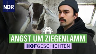 Angst um Ziegenlamm | Hofgeschichten: Leben auf dem Land (275) | NDR