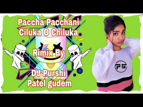 Paccha Pacchani Chiluka O Chiluka DJ SongDJ PURSHI PATEL GUDEM