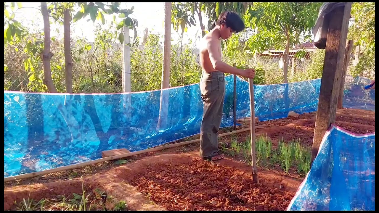 วันนี้อ้ายธงทำสวนผักค่ะ🥰🥰✌️✌️1 มีนาคม ค.ศ. 2026