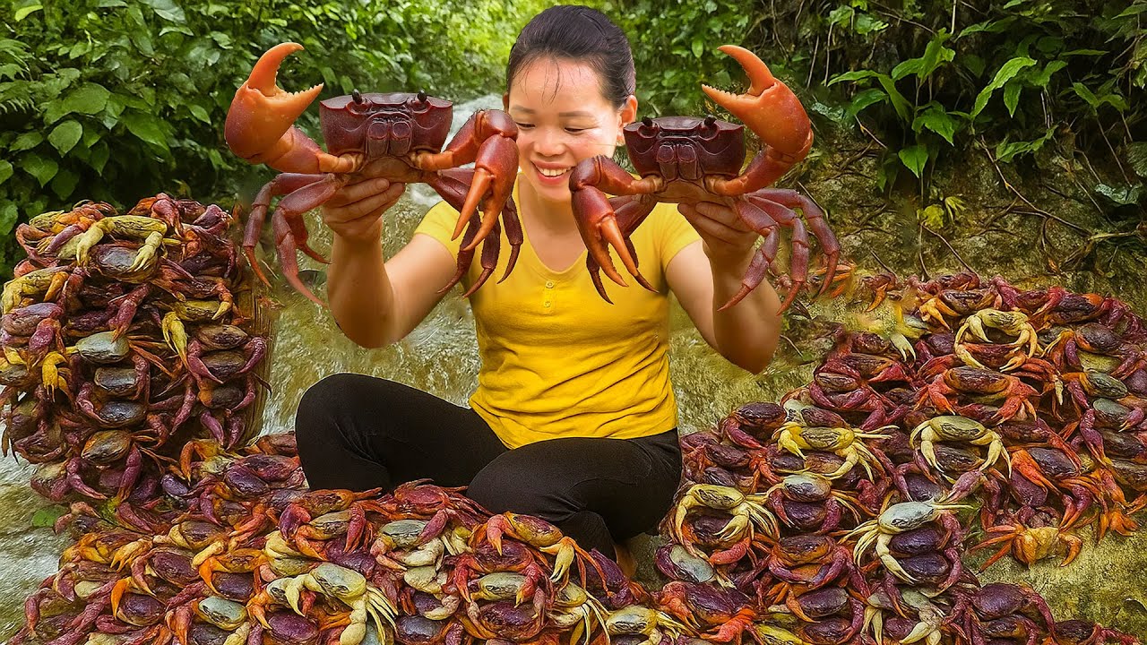 Harvesting Giant Crabs After Summer Rain to sell - Cook delicious Steamed Crabs with Huong