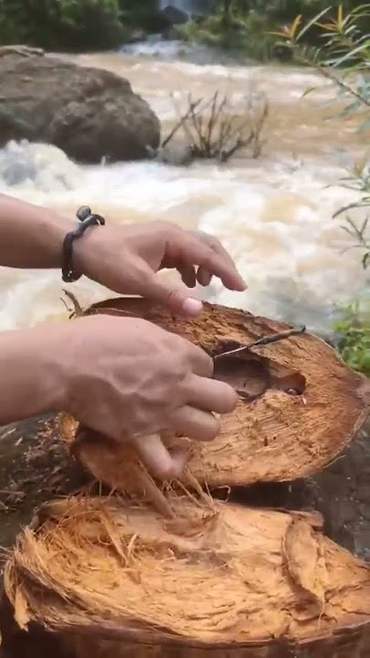 The magical coconut can fight the water current and turns out to contain three sacred heirlooms #...