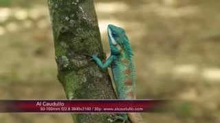 Samsung NX1 @ Kaeng Krachen National Park with Secret Tubing Thailand