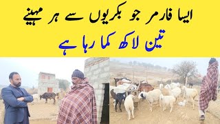 Millionaire Goat Farmer | Goat Farming | Chakwal Goat Farm