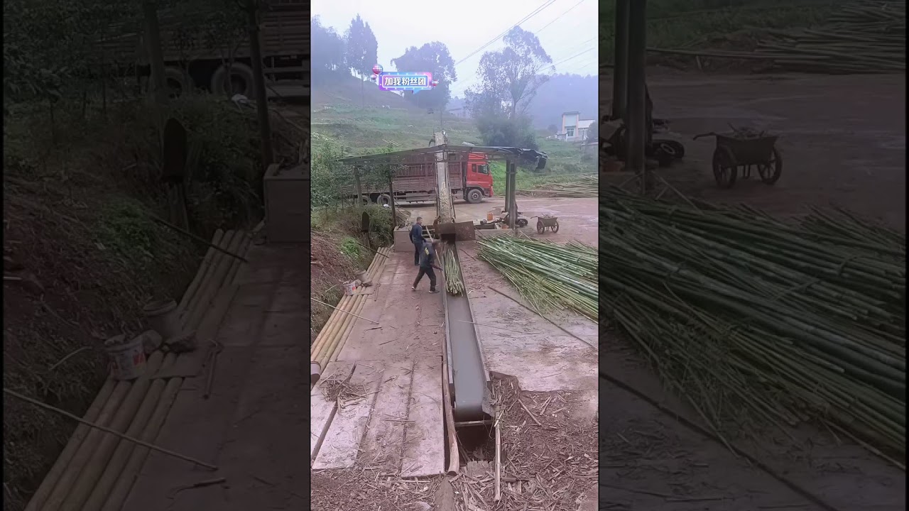 Massive Timber Handling: The Ultimate ASMR Experience