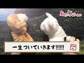 あるる〜Animal Girls〜 日本橋オタロード店