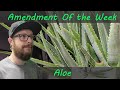 Amendment of the week aloe a closer look