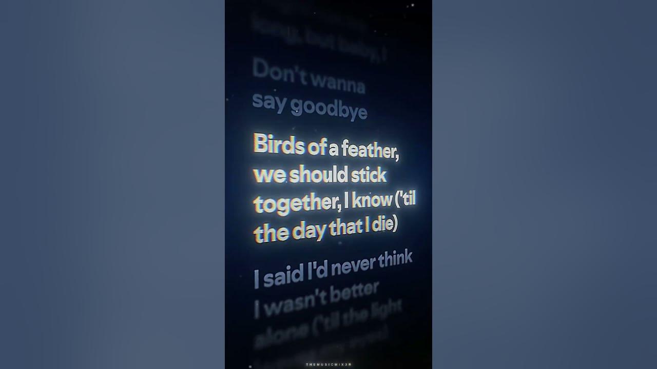 BIRDS OF A FEATHER - Billie Eilish ♪ #lyrics #music #subscribe