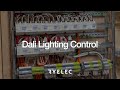 Intro to Dali Lighting Control &amp; Why We Recommend It + Switchboard Building Setup in our Factory