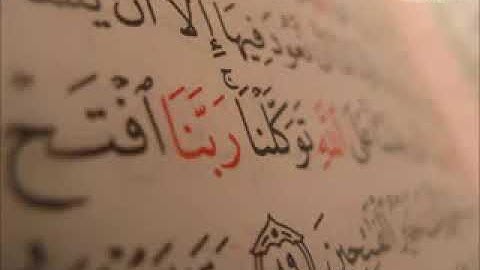 سورة التوبة - الشيخ نبيل الرفاعي