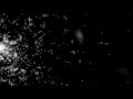 Feathers Spread - 4K Organic MATTE TITLE Effect for Trailers #AAVFX