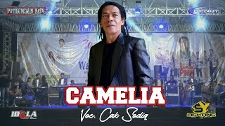 Camelia - Sodiq New Monata || Putra New Monata live Probolinggo || IDOLA AUDIO