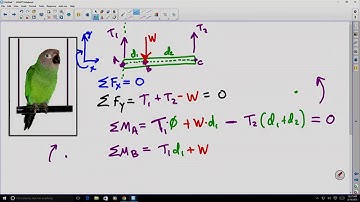 Static Equilibrium: Moments