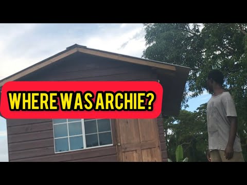 WE WENT TO VISIT ARCHIE WITH A SPECIAL GUEST BUT WE COULDN’T FIND HIM, 80 YEARS OLD MAN IN JAMAICA