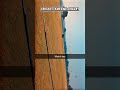 Like and subscribe ❤️🫶 | #trending #popular #viral #ytshorts
