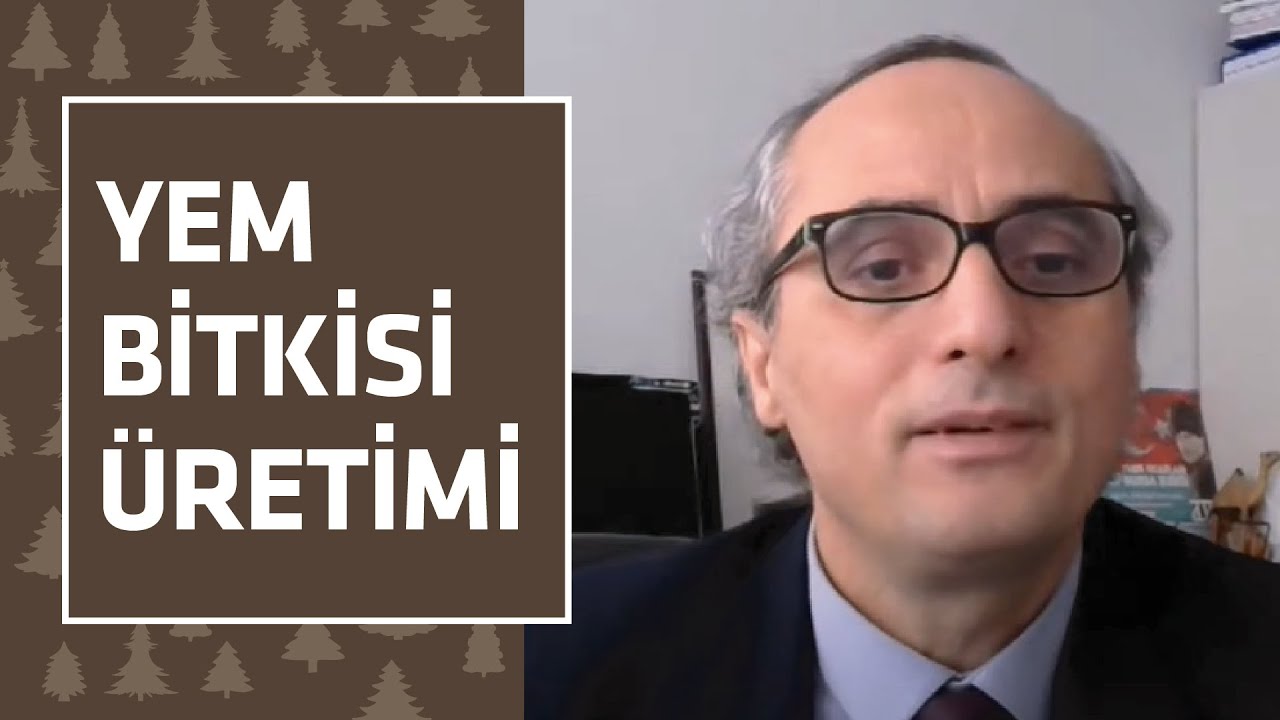 Yem Bitkisi Üretimi