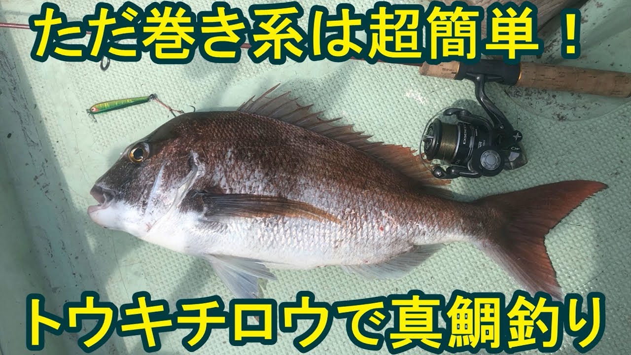 ただ巻き系は超簡単 トウキチロウで真鯛釣り Youtube