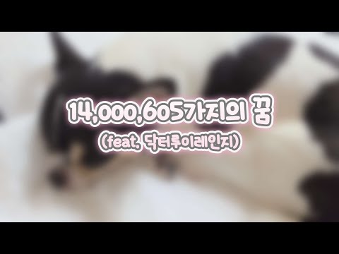 14,000,605가지의 꿈(feat. 닥터루이레인지)