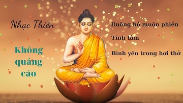 Nhạc thiền thư giãn, tĩnh tâm - cho ngày mới tràn năng lượng, xua tan muộn phiền, âu lo #nhacthien