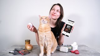 5 Human Foods Cats Can Eat (And 5 To Avoid!)