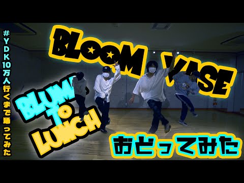 【プロダンサーが踊ってみた】Bluma to Lunch - BLOOM VASE | YDK Apartment