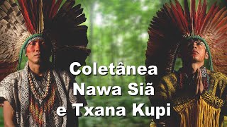 Coletânea Nawa Siã Huni Kuin e Txana Kupi Huni Kuin (Maiko) - Casa Hairá - Ayahuasca