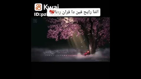 قران كريم بصوت الشيخ مشاري راشد العفاسي واتس اب
